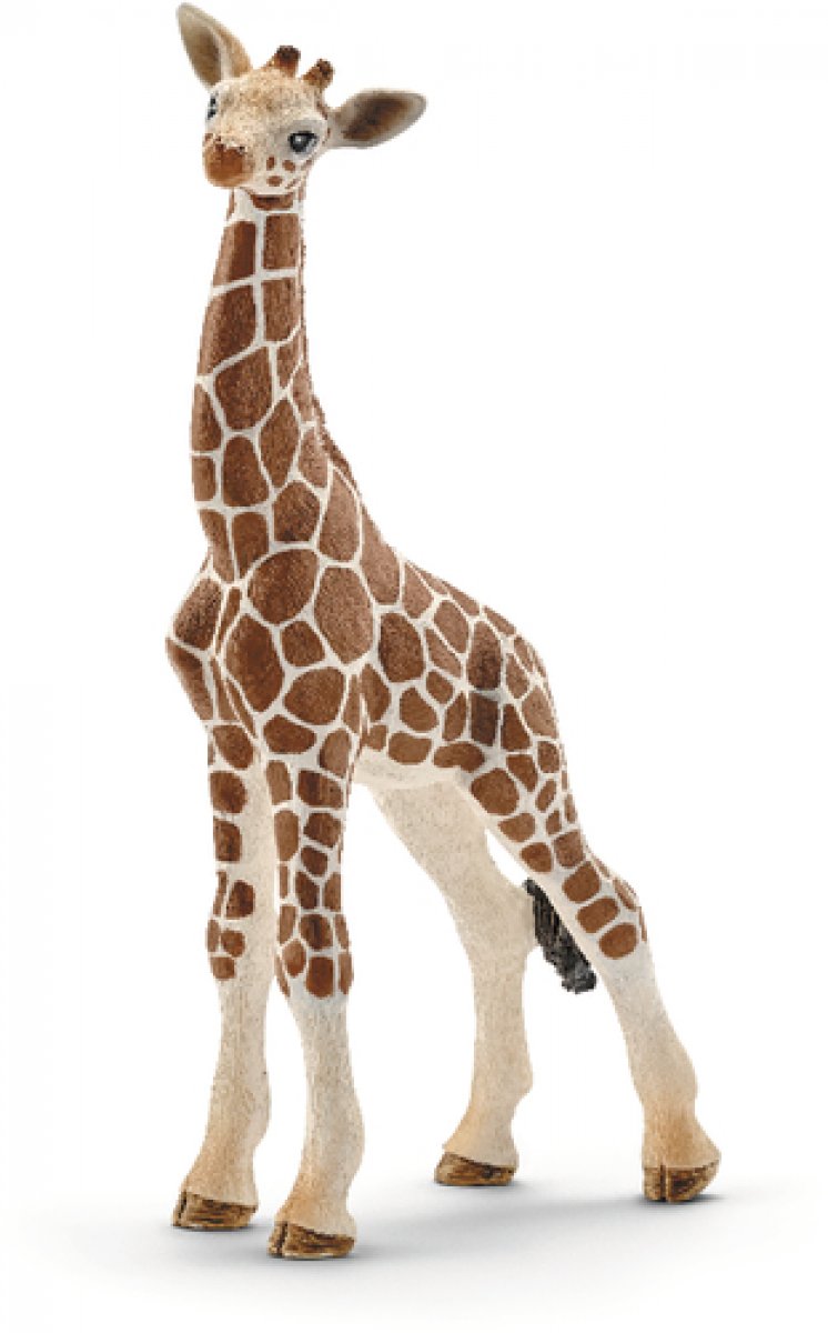Schleich 14751 Giraffenbaby