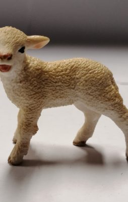 Schleich Schäfchen 13744 ohne Etikett!