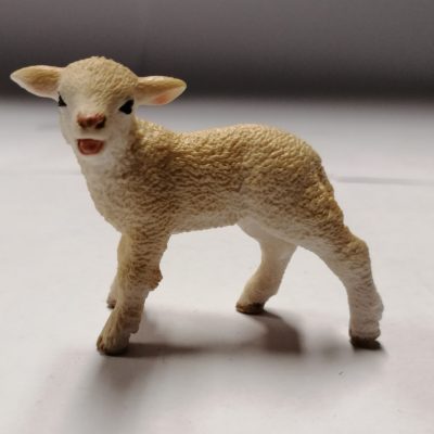 Schleich Schäfchen 13744 ohne Etikett!