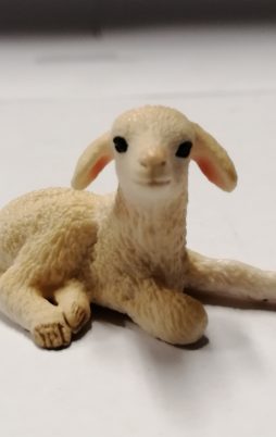 Schleich Schäfchen, liegend 13745 ohne Etikett!