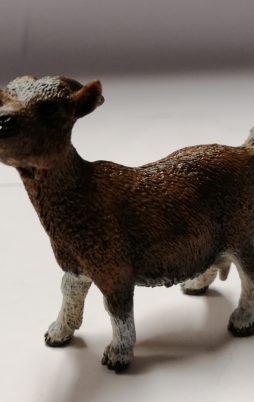 Schleich Zwergziege 13715 ohne Etikett!
