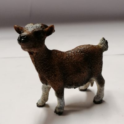 Schleich Zwergziege 13715 ohne Etikett!