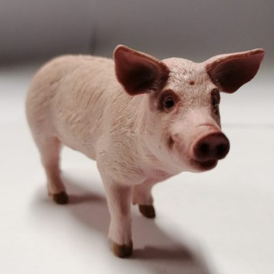 Schleich Schwein 13782 ohne Etikett!