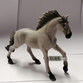 Sorraia Mustang Hengst 13915
