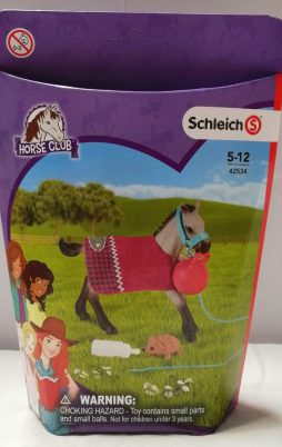 Schleich Spielspaß mit Fohlen 42534 vorne