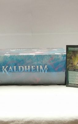 Magic: The Gathering Kaldheim: Display mit Promo Karte! DE vorne