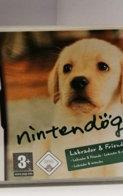 Nintendo DS: Nintendogs Labrador & Friends vorne